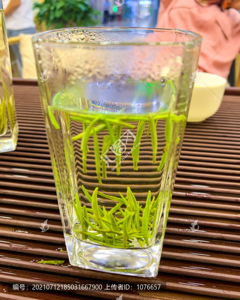 雀舌茶葉