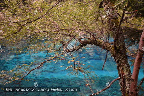 九寨溝