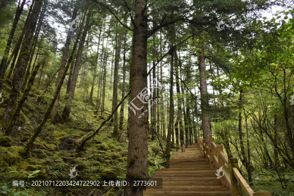 九寨溝