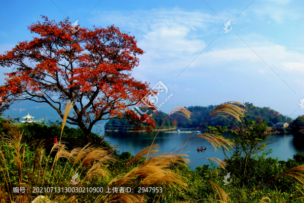 湖邊秋韻
