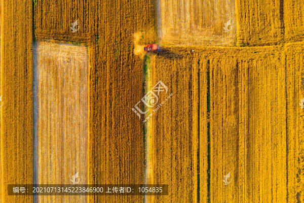 夏日麥?zhǔn)? title=