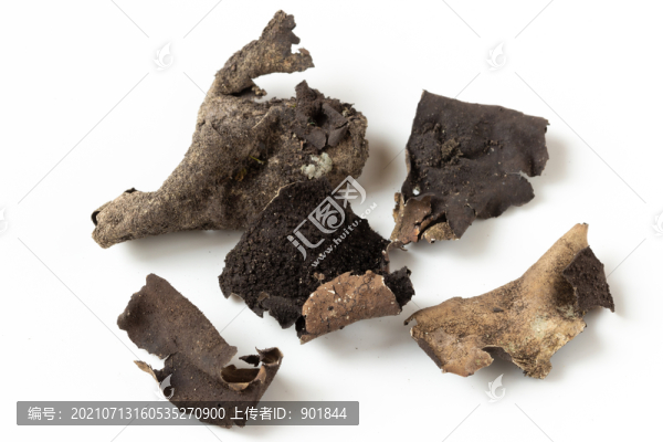黑五類食品巖耳