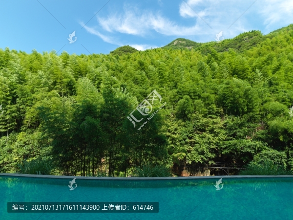 竹海藍天白云