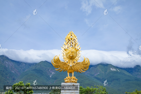 金翅鳥(niǎo)