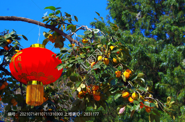 西山八大處公園