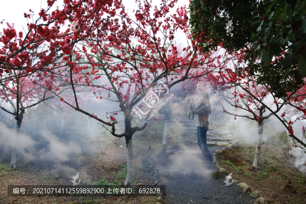 廬山西海桃花島