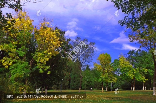 北京奧林匹克森林公園