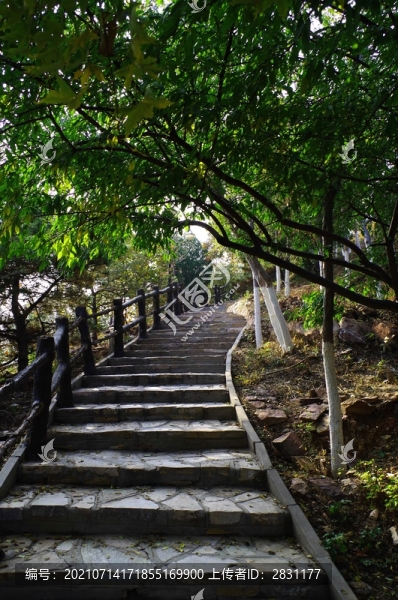 北宮國家森林公園