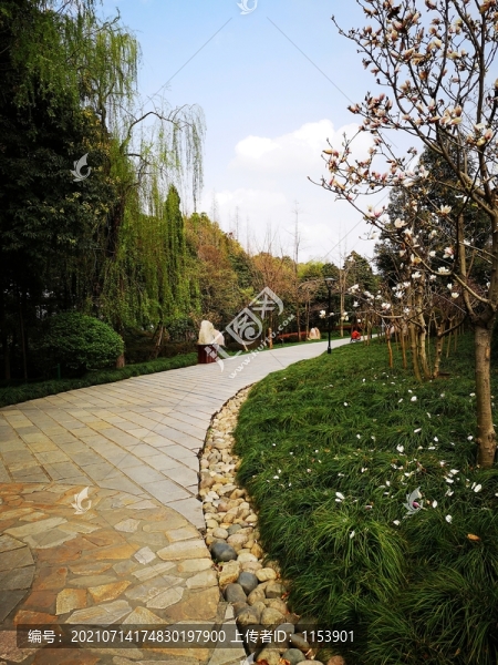 公園健身道