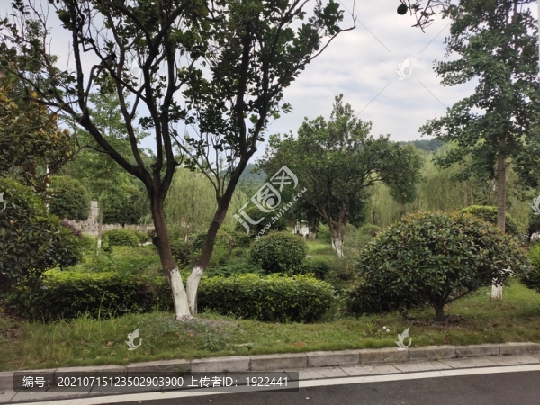 校園綠化