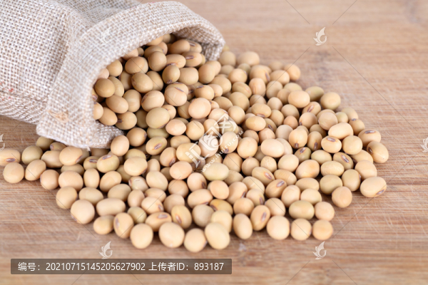 傾倒袋子中散落的大豆