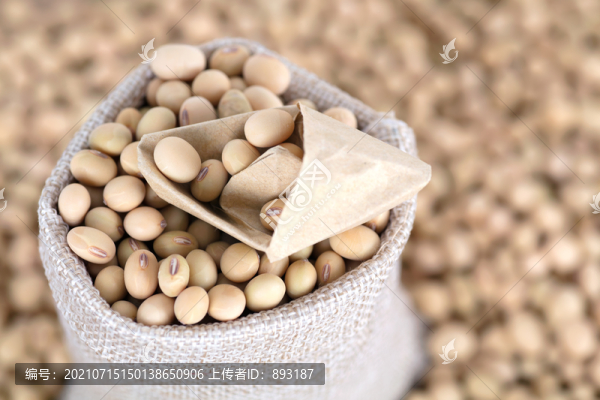 大豆和一只紙船