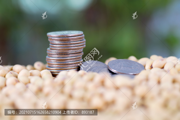 大豆里的美元硬幣