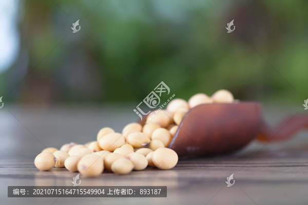 一勺收獲的大豆