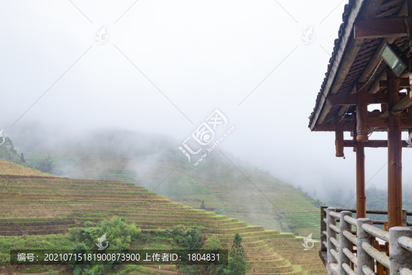 龍脊梯田