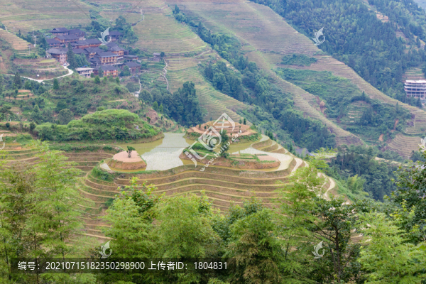 龍脊梯田