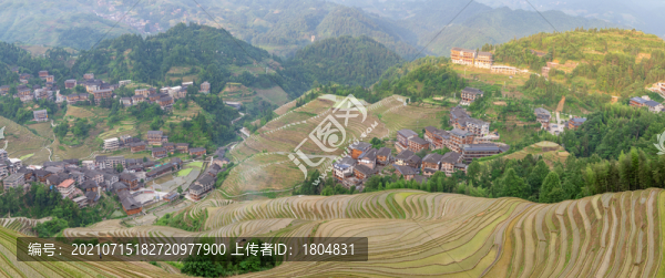 龍脊梯田