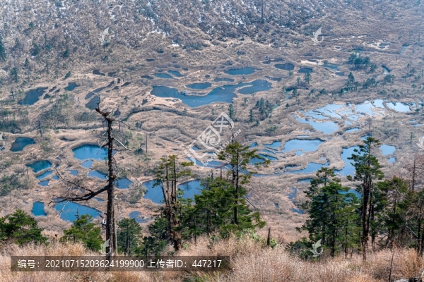 高黎貢山神田