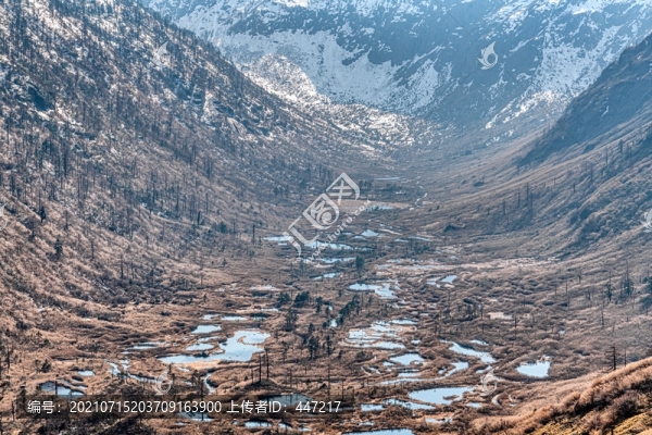高黎貢山神田