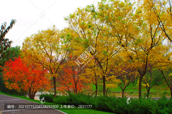 北京大望京公園