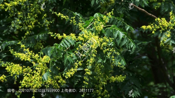 北京東壩郊野公園