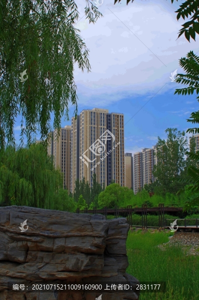 北京東一時(shí)區(qū)公園荷花