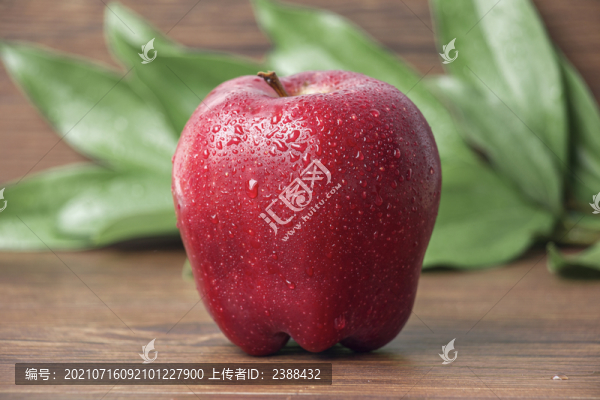 花牛蘋果