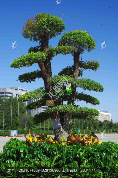 北京國(guó)際雕塑公園