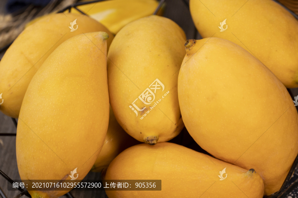鷹嘴芒
