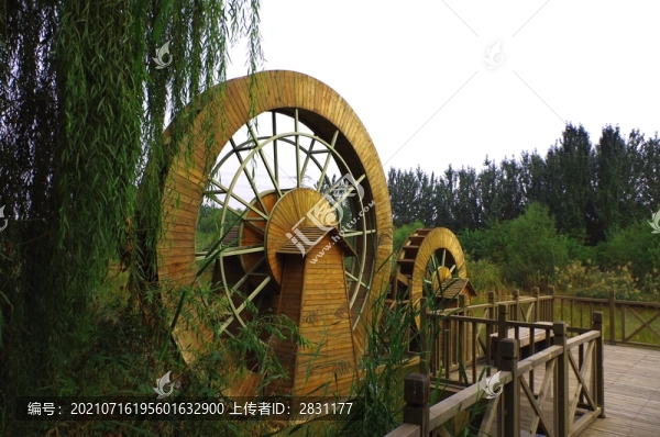 通州臺湖金福濕地魚匯