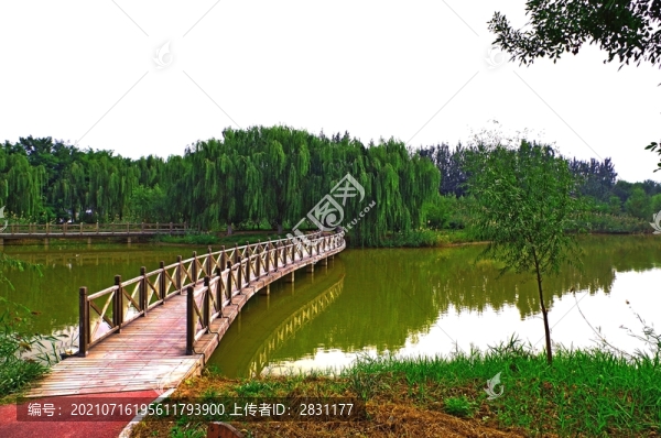 通州臺湖金福濕地魚匯