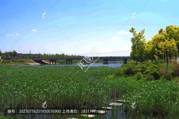房山區(qū)新城濱水森林公園