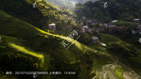 廣西桂林龍脊龍勝梯田景區(qū)稻田