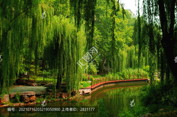 北京柳蔭公園
