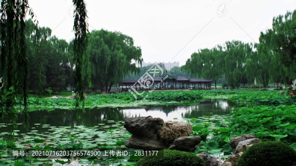 北京龍?zhí)逗珗@