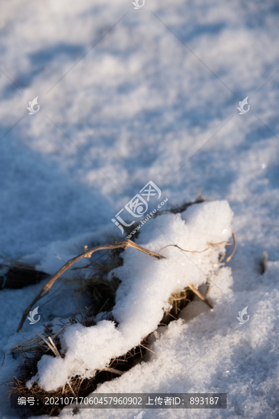 北方冬天的雪景