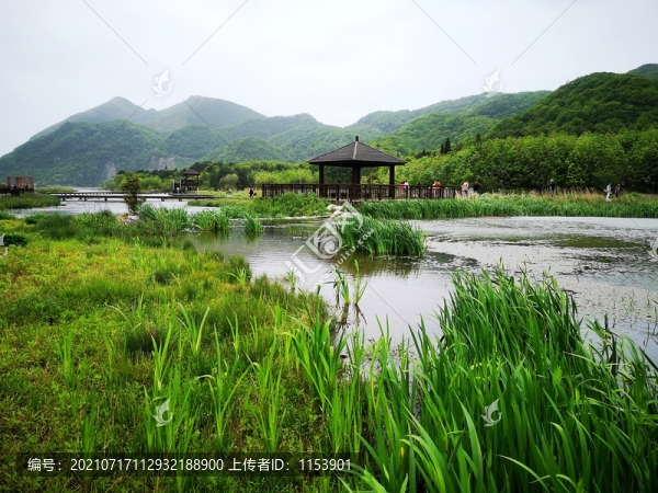 濕地公園