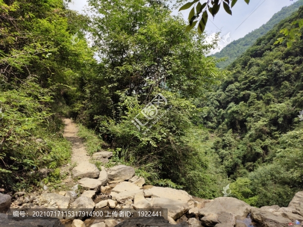 崎嶇的山路