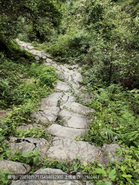 崎嶇的山路