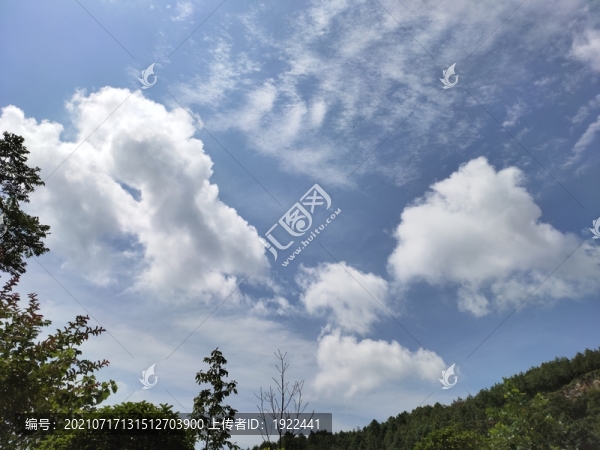 藍(lán)天白云與綠植