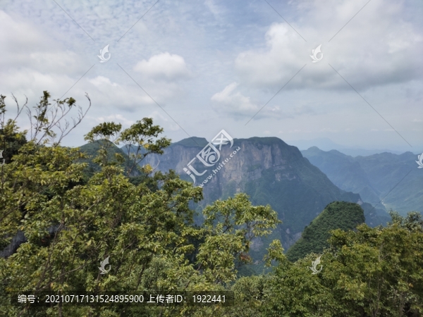 青山與綠植