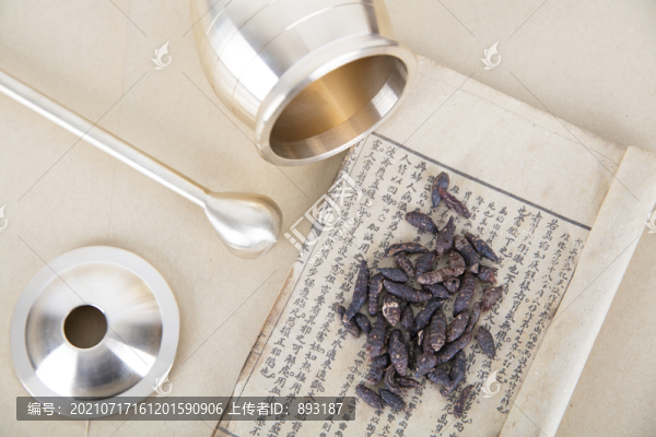 醫(yī)書上的藥材和旁邊的藥杵
