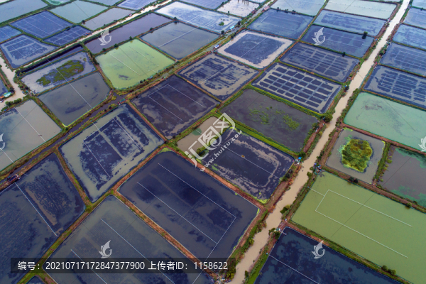 淮河入洪澤湖口風(fēng)光