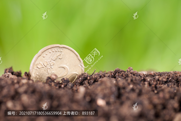種植在肥沃土壤中的20分歐元硬