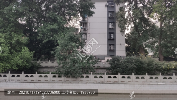 沿岸植樹