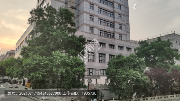 沿岸植樹