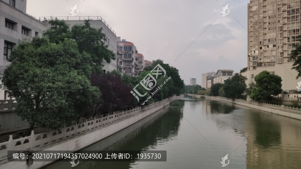 沿岸植樹