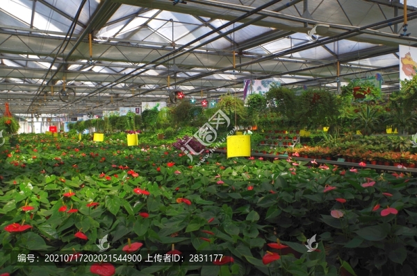 北京世界花卉大觀園