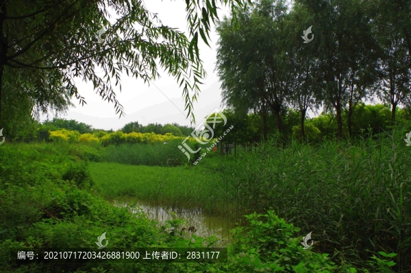 通州臺湖公園