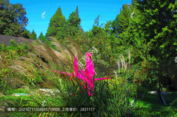 北京陶然亭公園